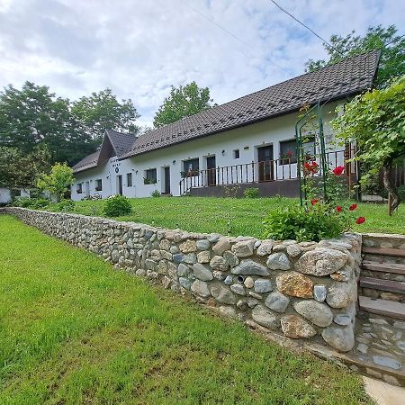 Casa Morii Ohaba Villa Bagian luar foto