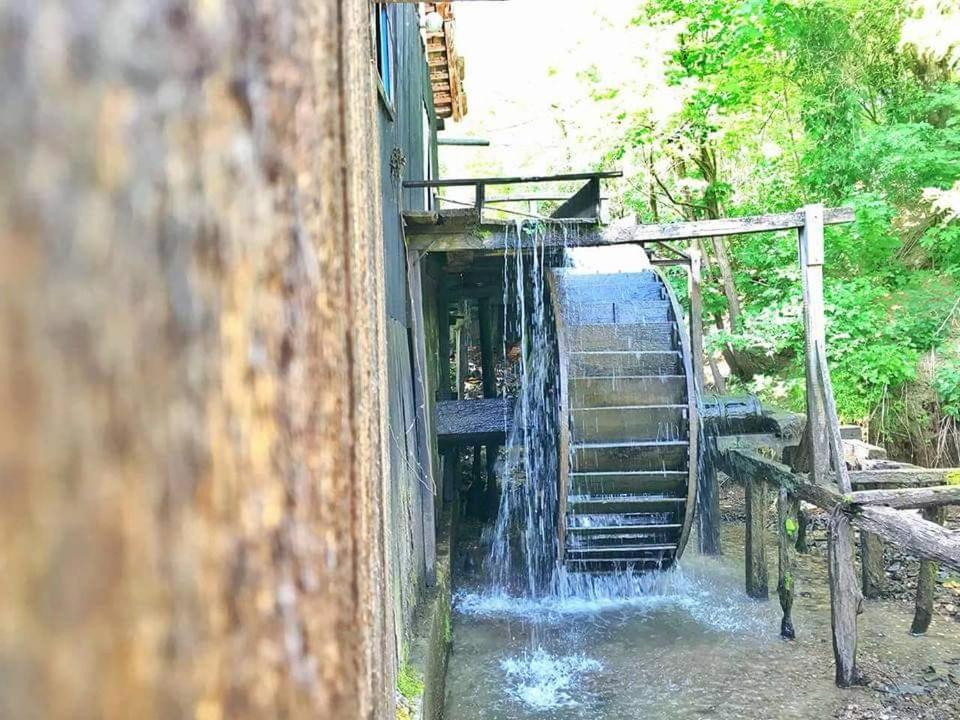 Casa Morii Ohaba Villa Bagian luar foto