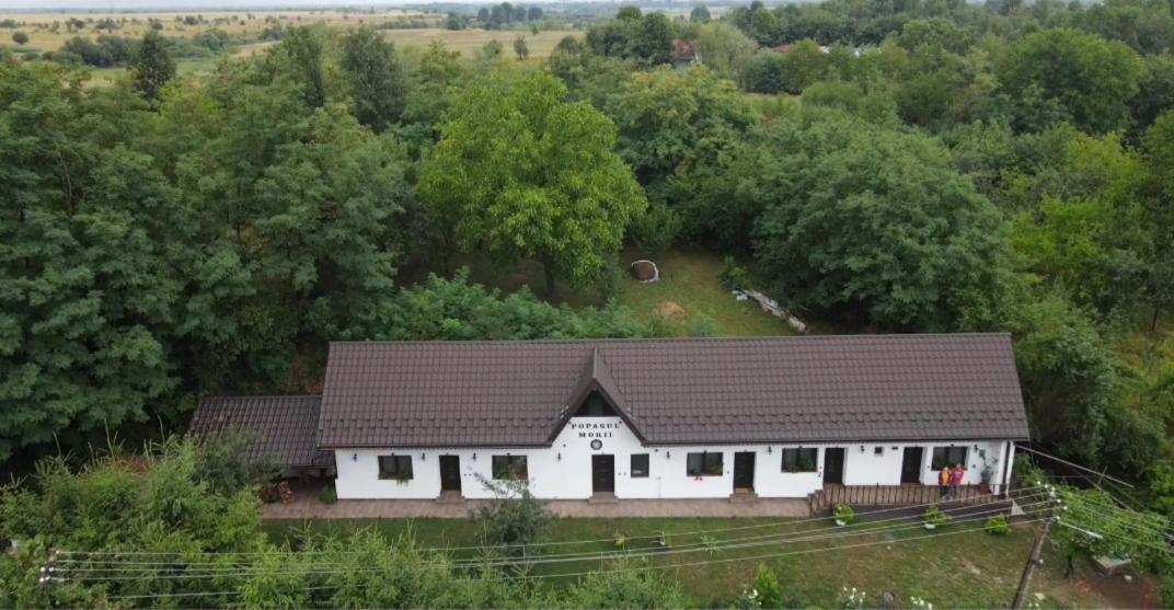 Casa Morii Ohaba Villa Bagian luar foto