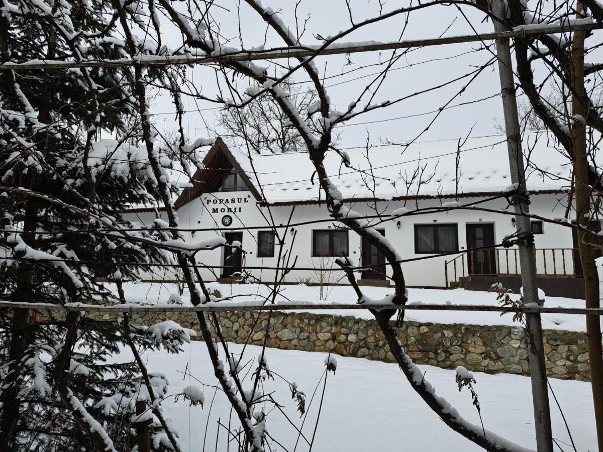 Casa Morii Ohaba Villa Bagian luar foto